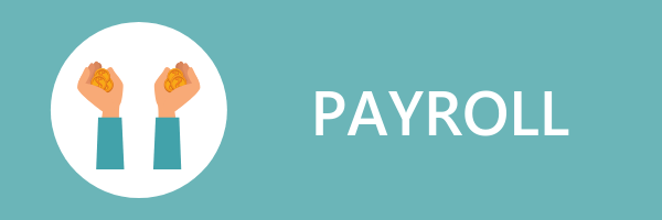 Salesforce payroll add-ons