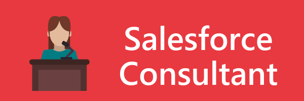 Salesforce Consultant
